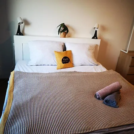 Kavi #3, View! דירה פלזן